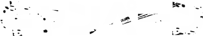 キャンペーン